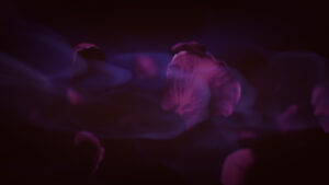 BOAR_Screenshot_02