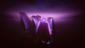 BOAR_Screenshot_03
