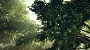 Ericpol_Jaguar_Screen_06